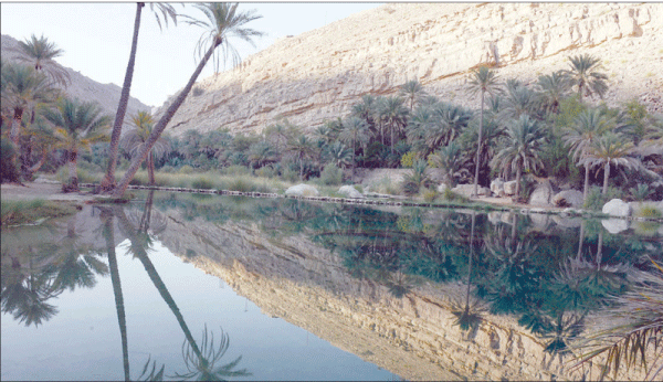 «وادي بني خالد» .. لهواة القفز من أعلى الصخور