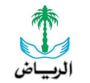 كفاءة الدولة